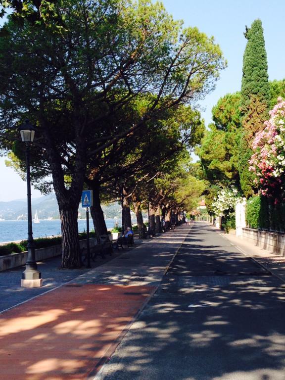 Ca' Dei Gatti Villa Toscolano Maderno Eksteriør bilde