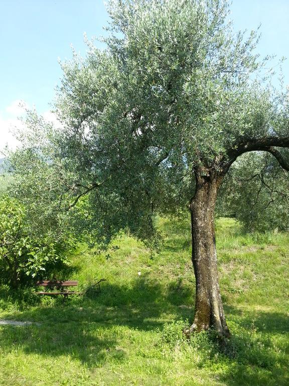 Ca' Dei Gatti Villa Toscolano Maderno Eksteriør bilde